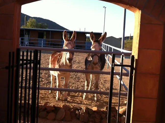 Full Circle Ranch B&B Inn Nocleg ze śniadaniem Cave Creek